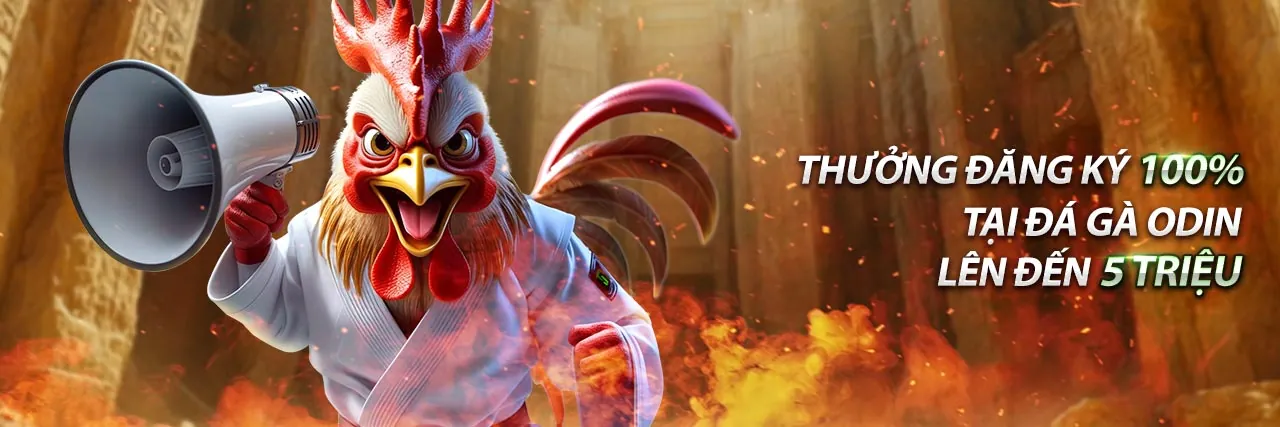 Chương trình VIP 789bet Code 2026